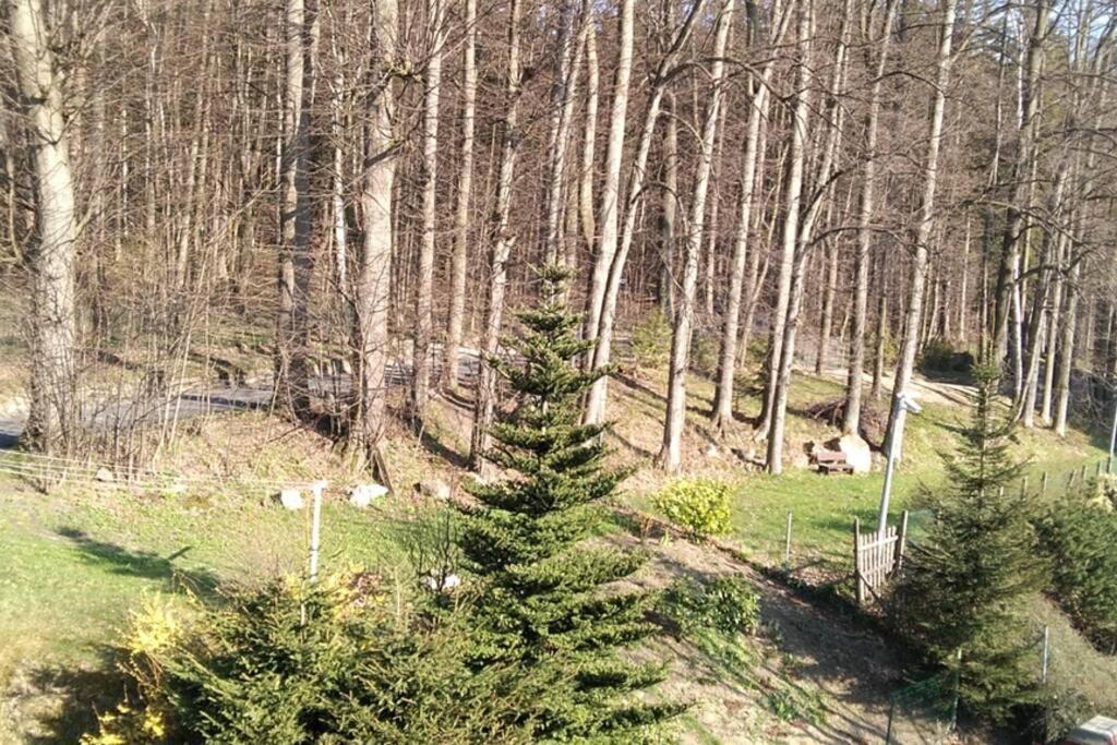 Nowoczesne Mieszkanie Blisko Natury I Sklepu Biedronka Karpacz Kültér fotó